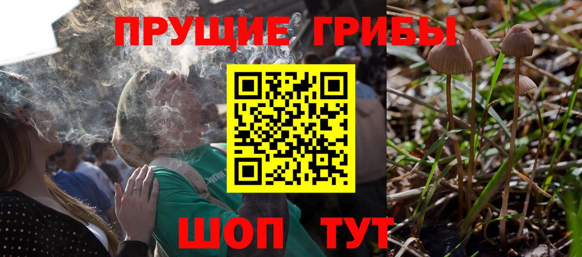 Галлюциногенные грибы мухоморы  Вход с VPN  Новотроицк 