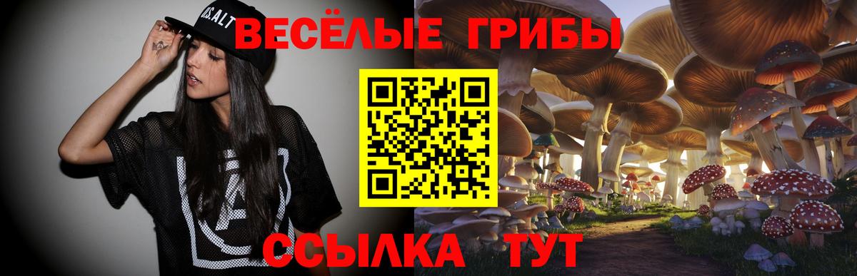 Псилоцибиновые грибы Magic Shrooms Новотроицк